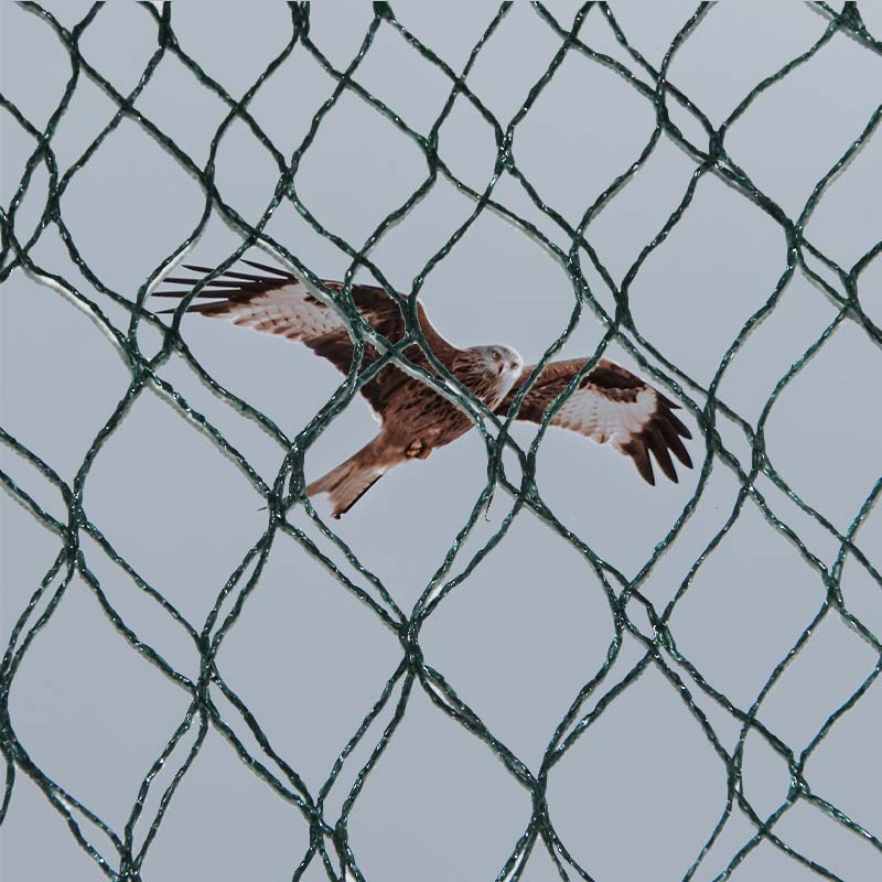 Jaké jsou možnosti výběru materiálů a jaké jsou výhody a nevýhody sítí pro prevenci ptáků?