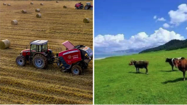 Aplikace balicí sítě v zemědělských činnostech