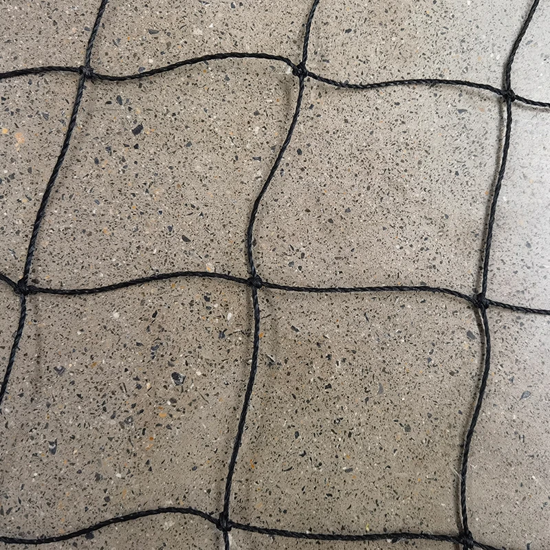 Role kriketových sítí