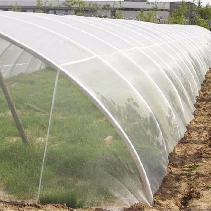 Síť proti hmyzu – chraňte svůj dům a zahradu!