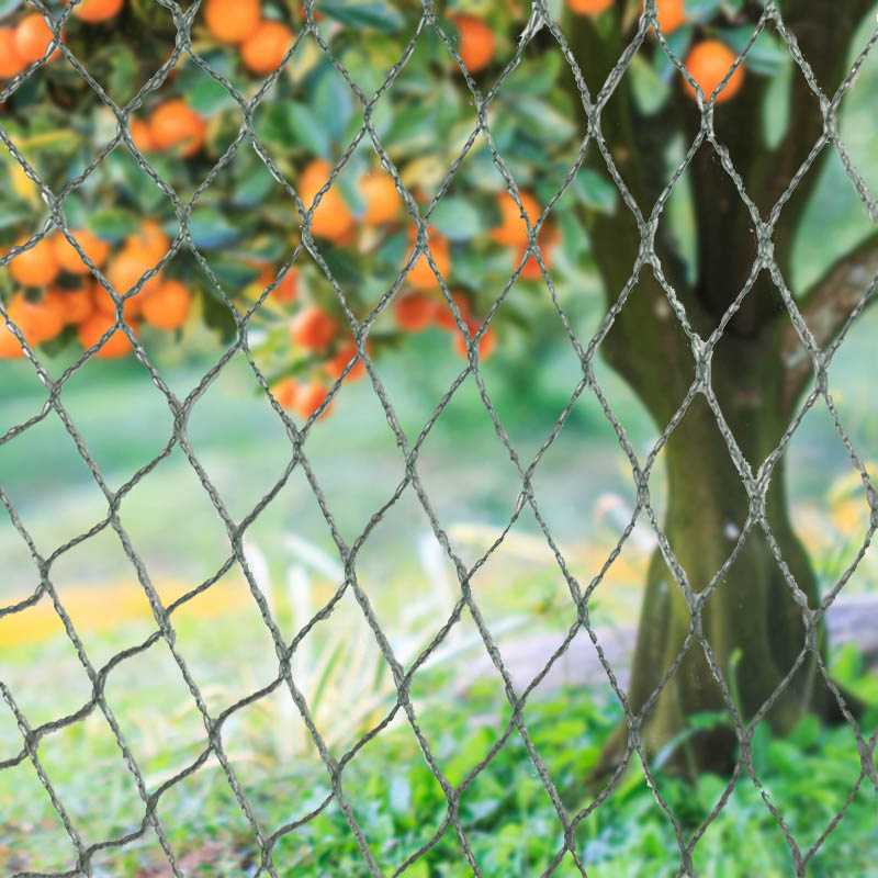 Chraňte svou úrodu, majetek a investice pomocí naší odolné sítě proti ptákům!