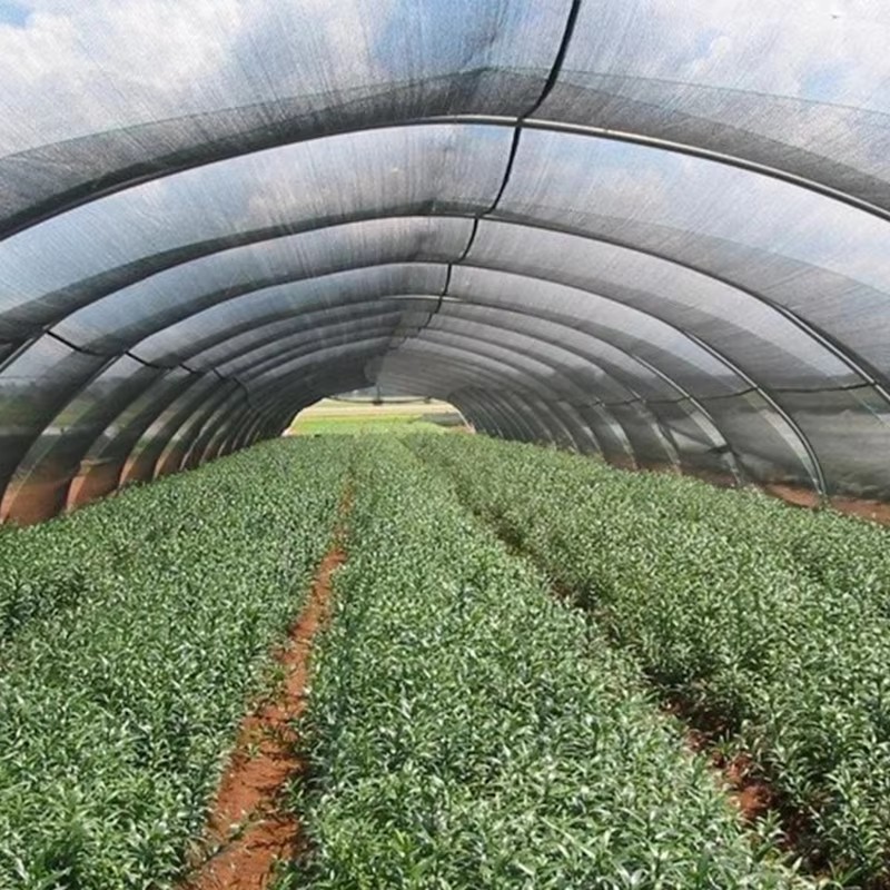 Utěrka na zahradní stínítko pro rostliny 40% blokováno slunečním svitem